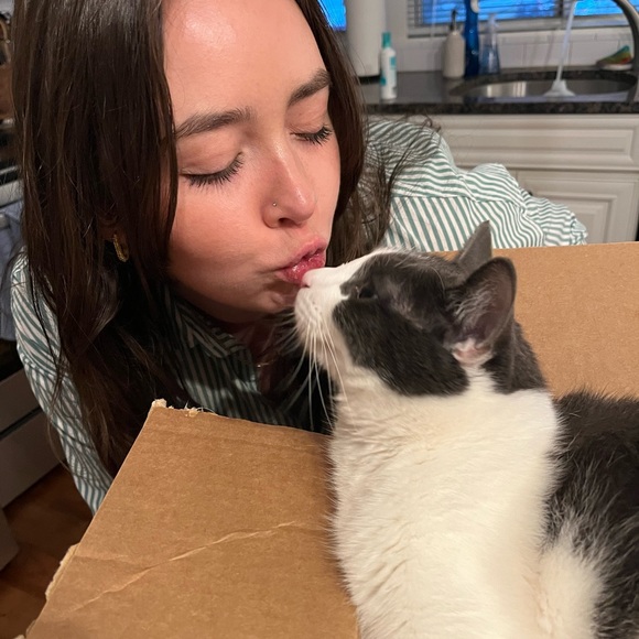 Meet your Posher, Chloe - Picture 2 of 2